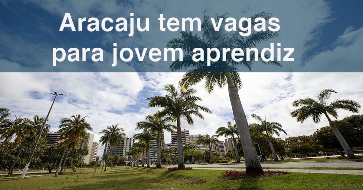 Aracaju tem 16 vagas de emprego