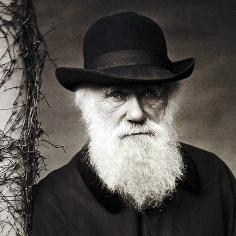 Charles Darwin - Exercícios sobre evolução