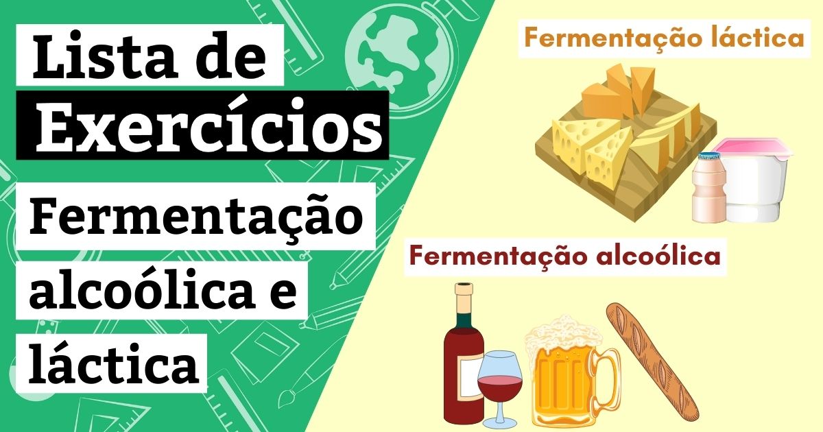 Exercícios sobre fermentação alcoólica e láctica