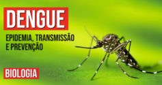Curso Enem Gratuito lança aula especial sobre a dengue