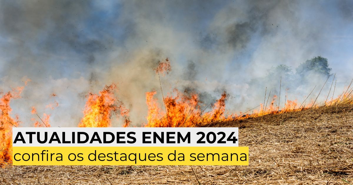 Atualidades para o Enem 2024: confira os destaques da semana