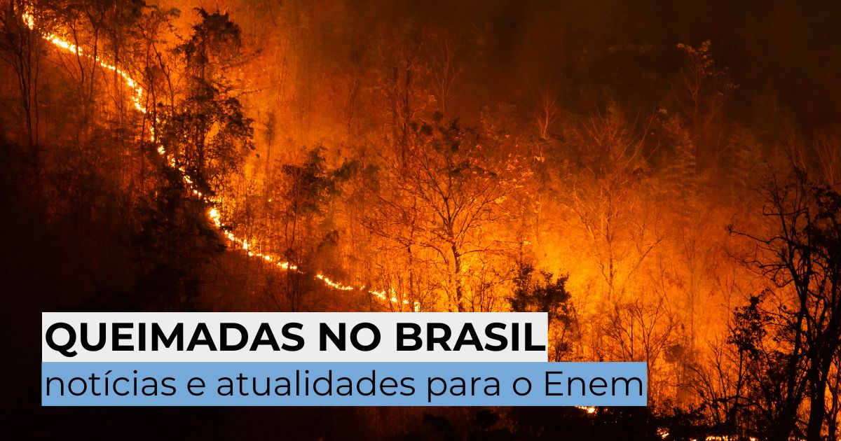 Queimadas no Brasil: notícias e atualidades para o Enem 