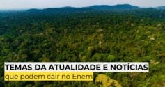 Temas da atualidade e notícias que podem cair no Enem