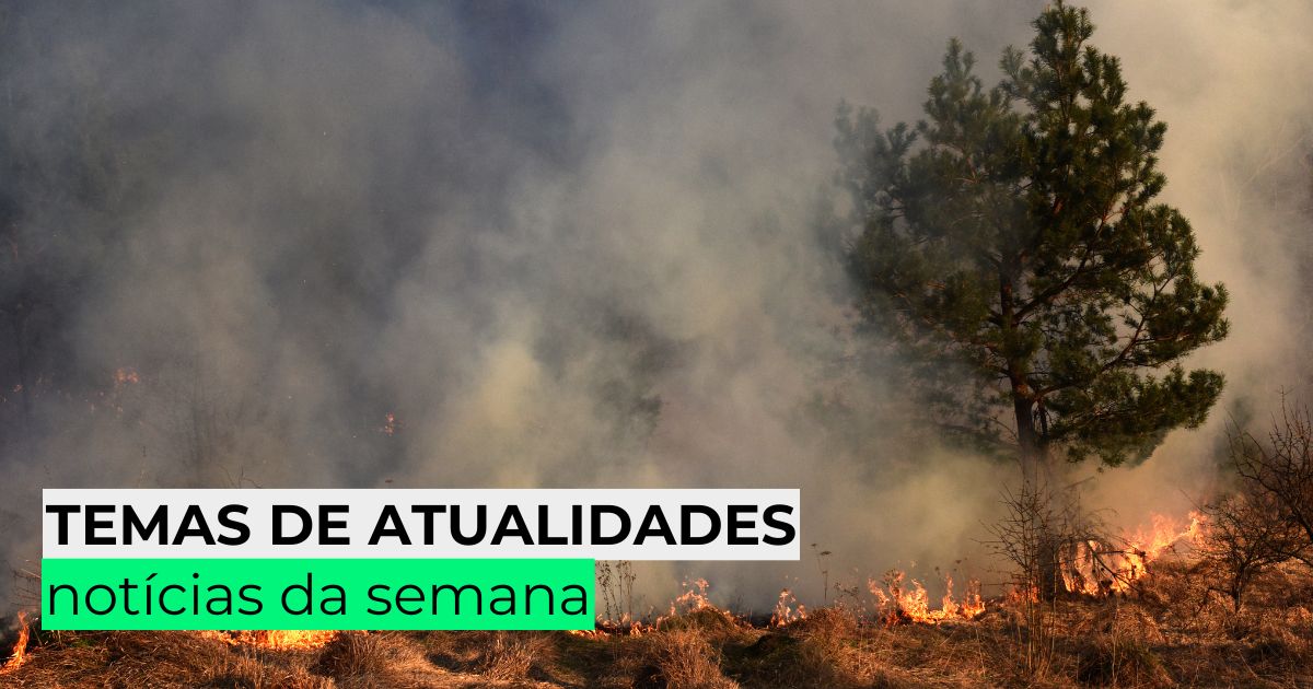 Temas de atualidades: confira as notícias da semana
