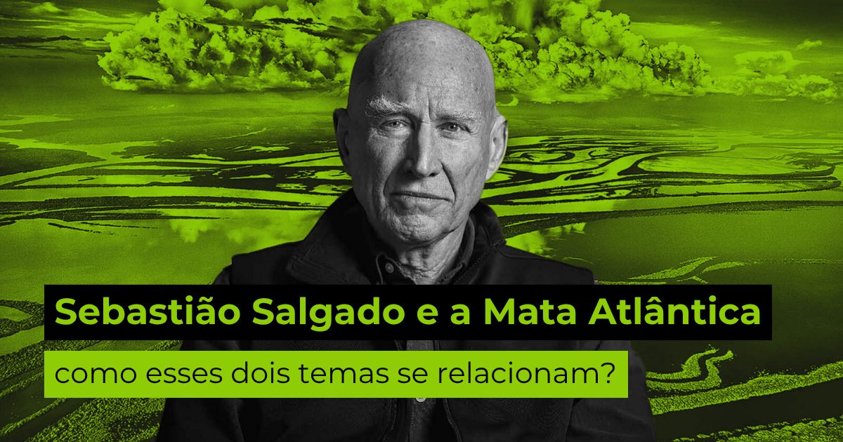Sebastião Salgado e a Mata Atlântica: como esses dois temas se relacionam?