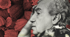 jorge amado