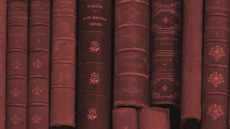 Livros dos Vestibulares 2027: confira as obras obrigatórias já divulgadas