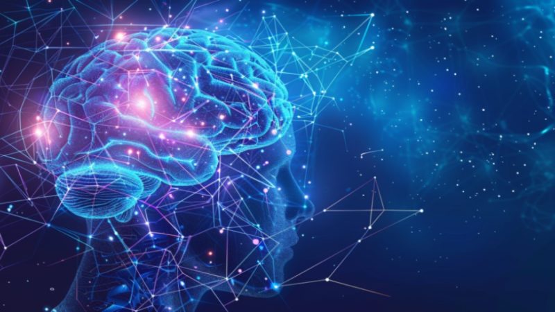 Hackeie seu cérebro: como estudar mesmo quando o cansaço bate