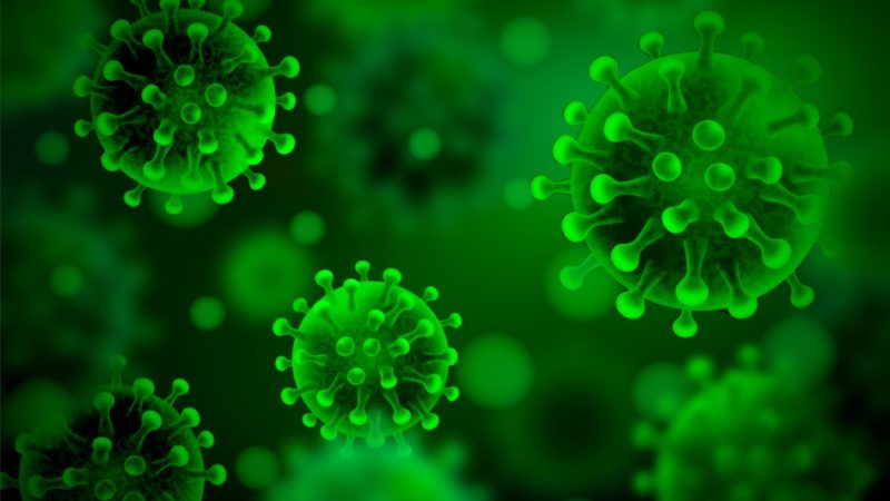 Hantavírus: entenda o surto no navio, sintomas, transmissão e risco de pandemia 