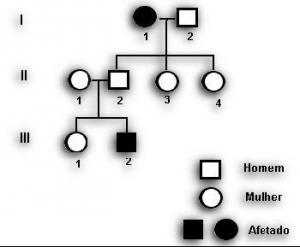 Biologia - Genética: Entenda Árvores Genealógicas com o Heredograma